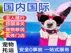 遵义新舟空运公司国际宠物托运 【国